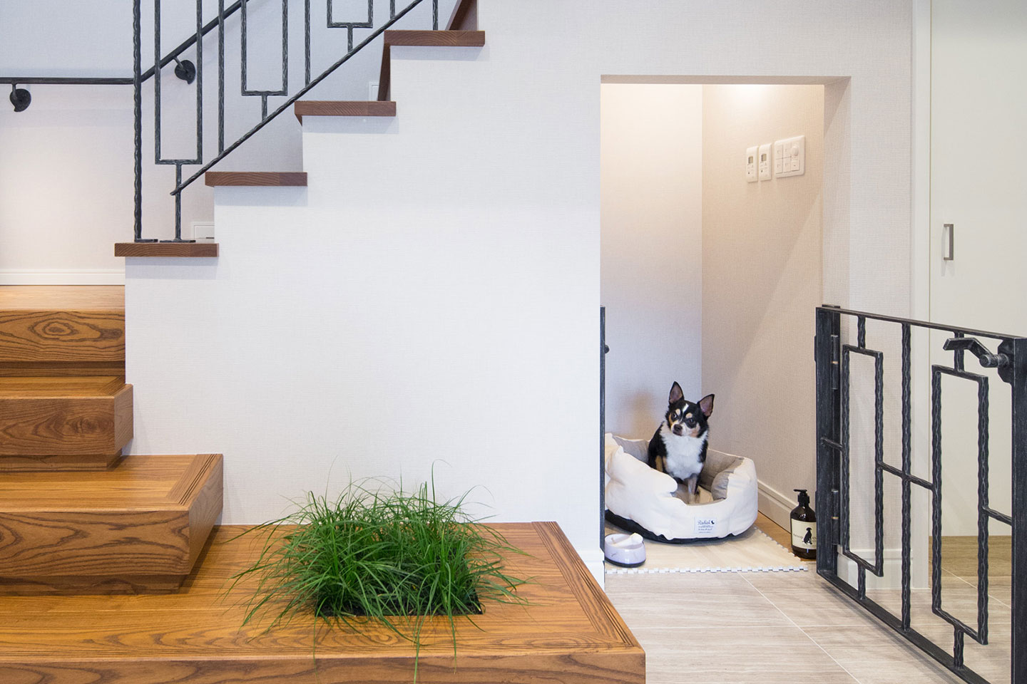 ペットを飼っている家