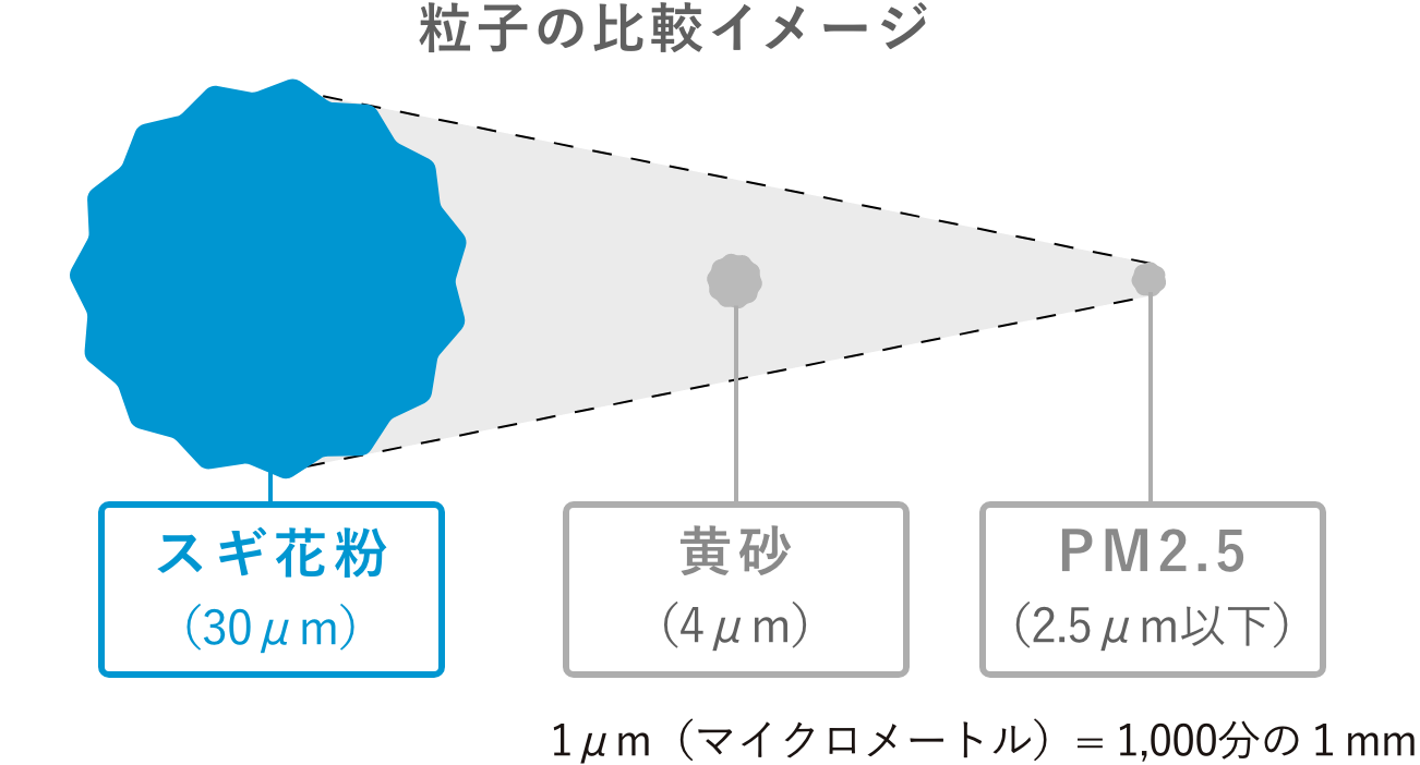 粒子の比較イメージ