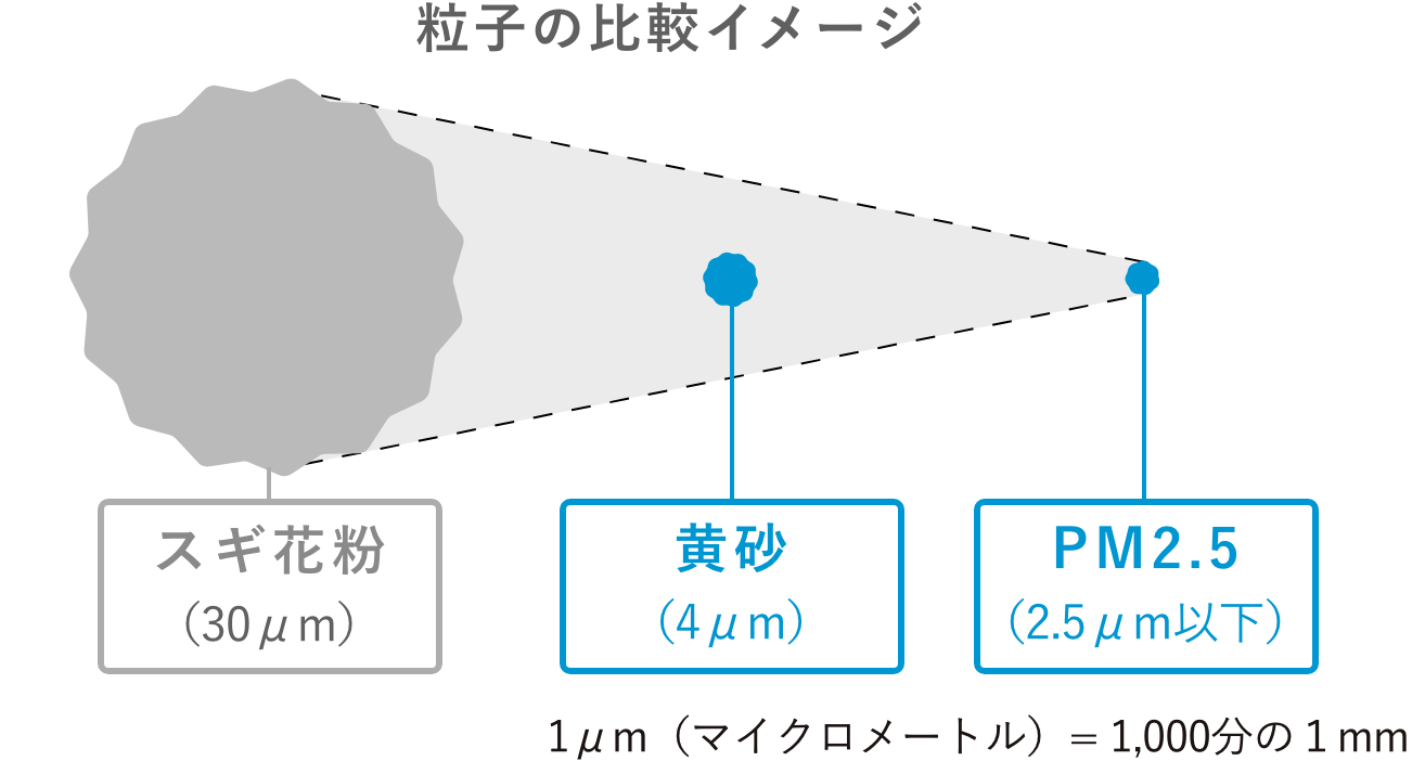 粒子の比較イメージ