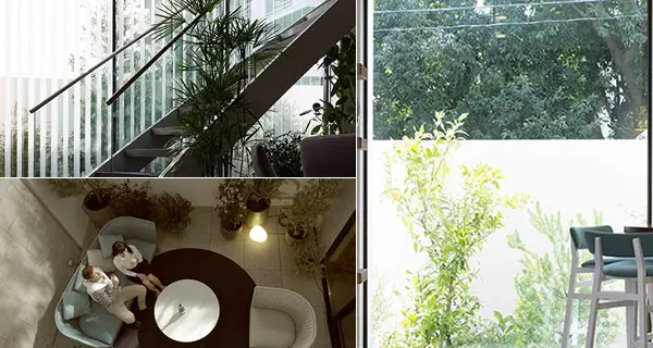 シンプルな住空間に植物を「添える」空間プロデュース