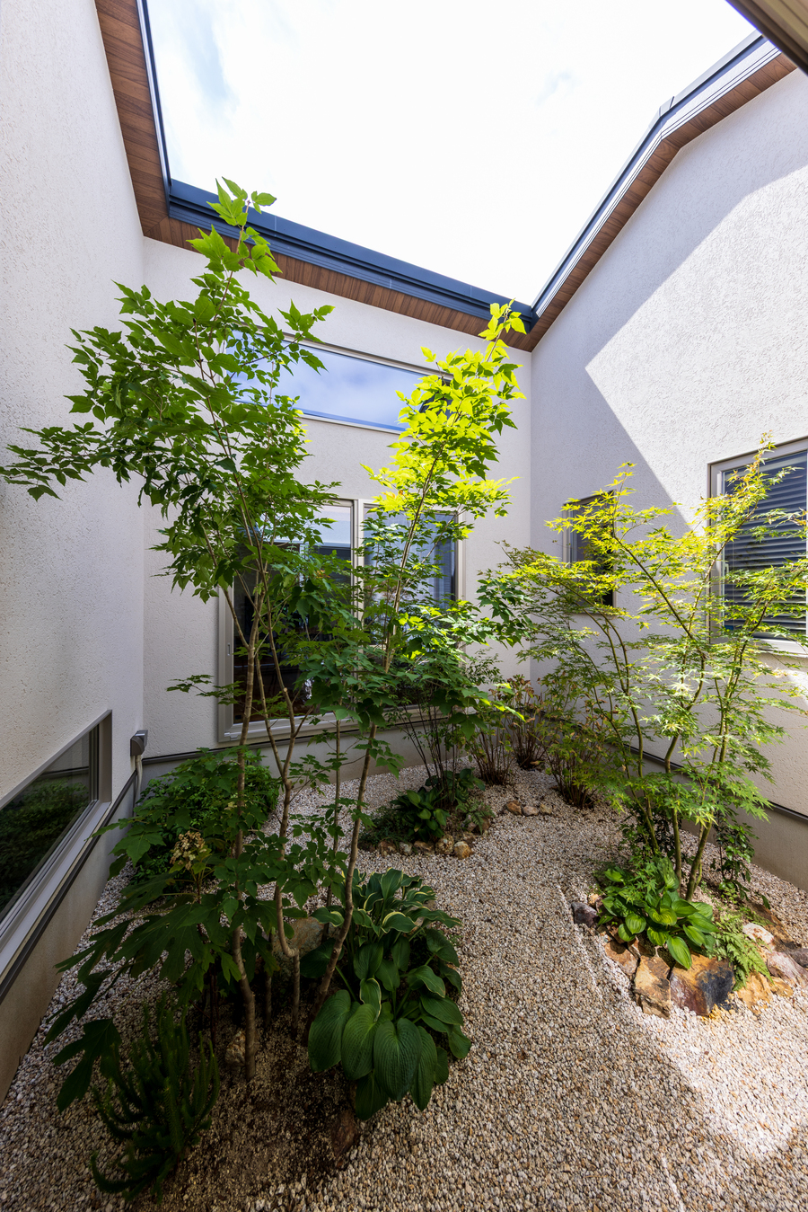 家の中心に緑が広がる中庭